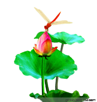 320_336gif 动态图 动图