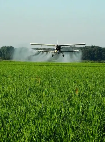 农航飞机在水稻田上空喷施药剂.