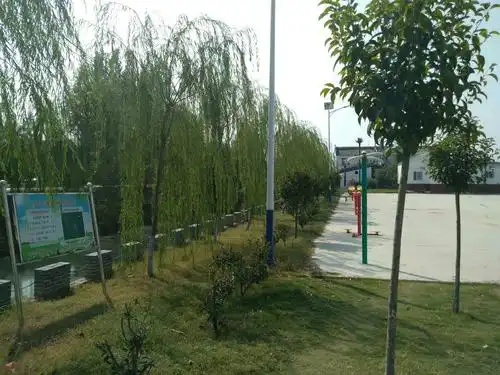 永城市裴桥镇:"三张名片"魅力显