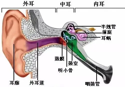 【保健知识】小儿如何爱护自己的耳朵