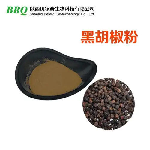 黑胡椒粉10:1 黑胡椒提取物 药食同源 厂家现货 水溶 喷雾干燥