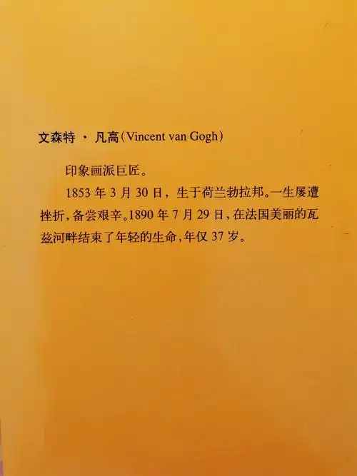 梵高书信集亲爱的提奥天才异质混成的血肉之躯