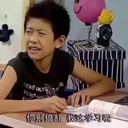 你别捣乱 我这学习呢(家有儿女 刘星)