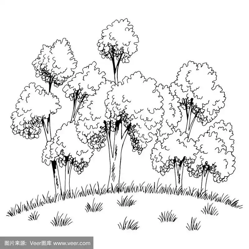 山丘上的树林,树木,森林图形,黑白草图,插图向量