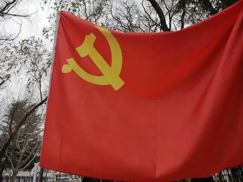 让党旗在防控斗争第一线高高飘扬