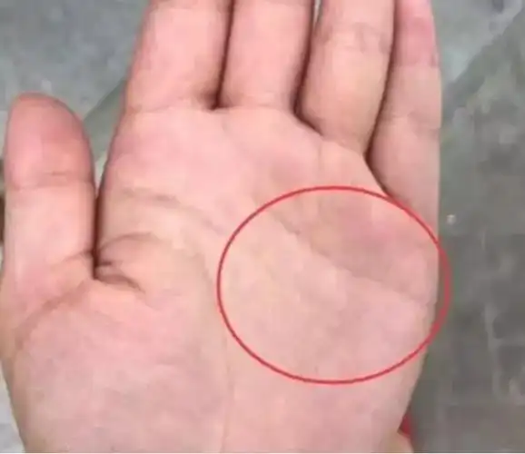 具有大富大贵,横财大发的手相_手掌