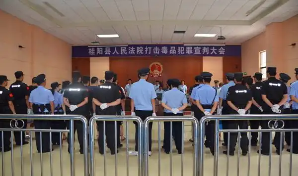 桂阳法院"6·26"国际禁毒日集中宣判6起涉毒案