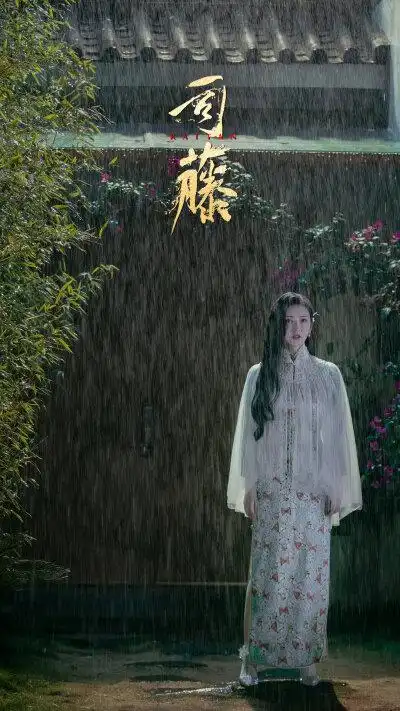 司藤- 堆糖,美图壁纸兴趣社区