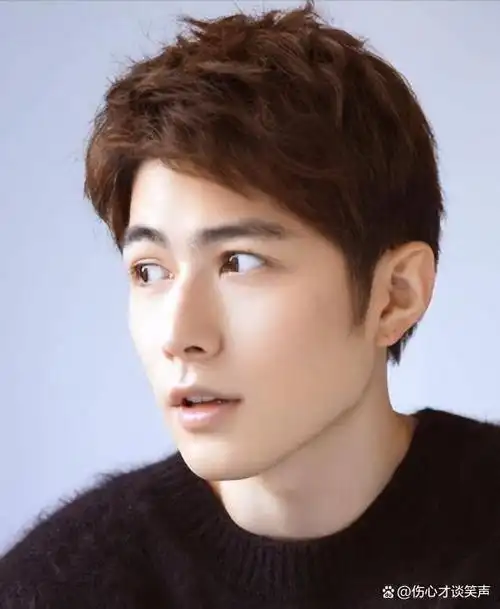 有哪些男明星割了双眼皮颜值逆袭的