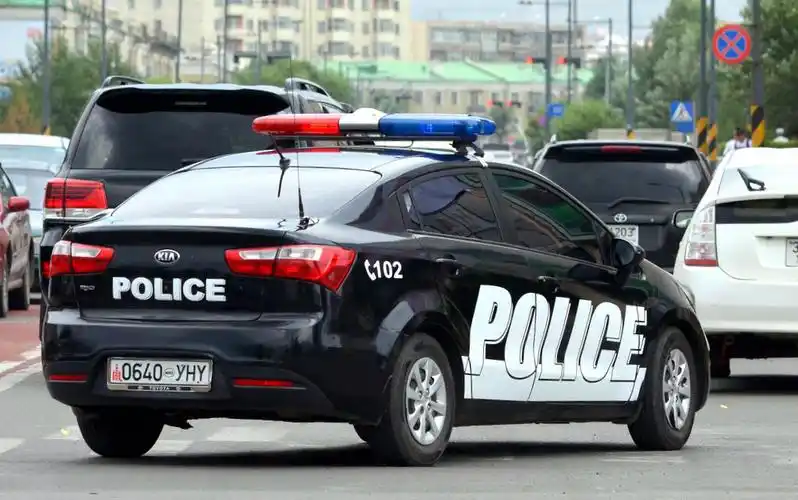 由于蒙古国没有自己的汽车工业,警车基本上从外国进口.
