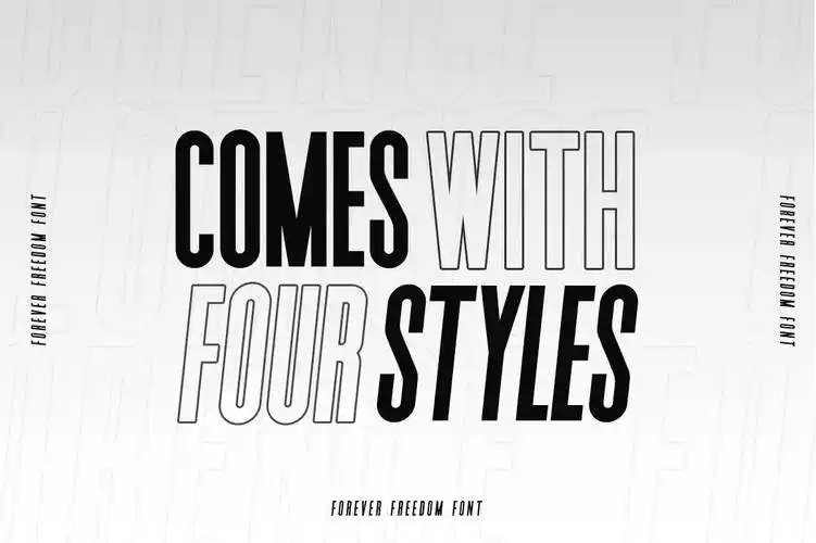 现代简约品牌广告海报标题logo设计无衬线英文字体foreverfreedomfont
