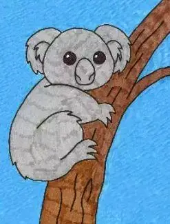 如何画一只考拉(树袋熊)