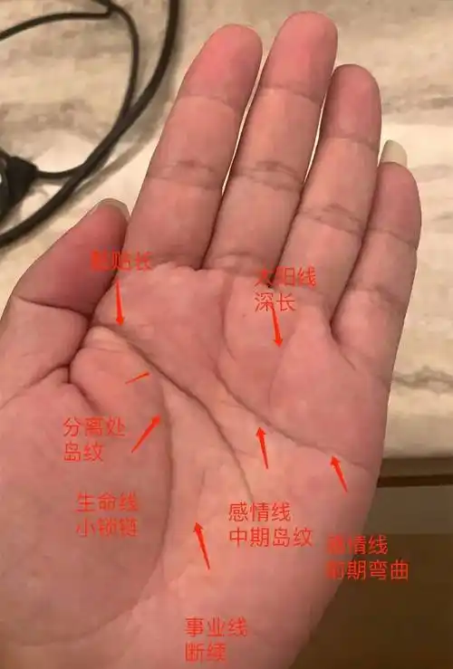 运势根基深厚,为人慷慨大方的手相_生命线_左右手_感情