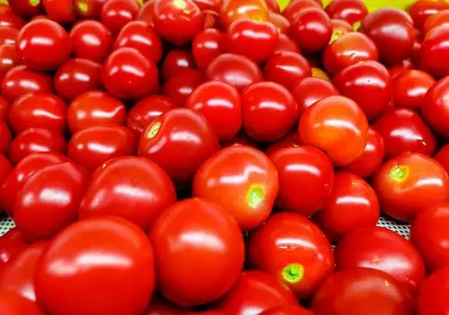 摄影 图片 素材 特写 背景 小番茄 西红柿 圣女果 小西红柿 樱桃