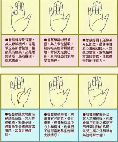 贯之的意思 条贯部分的意思是什么?