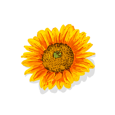 400_400gif 动态图 动图