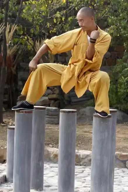 浅谈少林功夫特点!