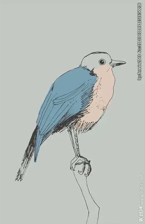 水彩手绘小鸟图片