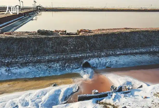 汉沽盐场的"复晒池",产盐结晶后的卤水(俗称老卤)再次结晶,接着提取