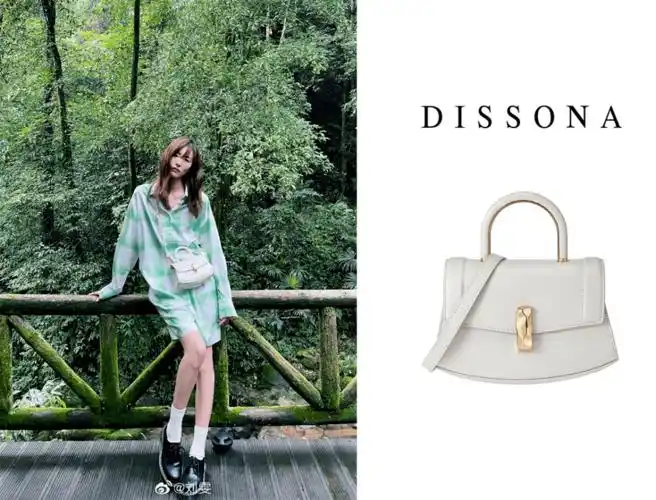 比起穿搭更想买到刘雯的同款包包