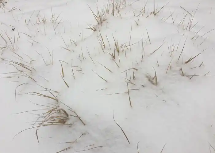 凭什么你能过得岁月静好02而我却成了一地鸡毛