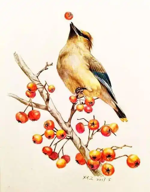 简单易画的彩铅,温暖又治愈!你还不画一幅?