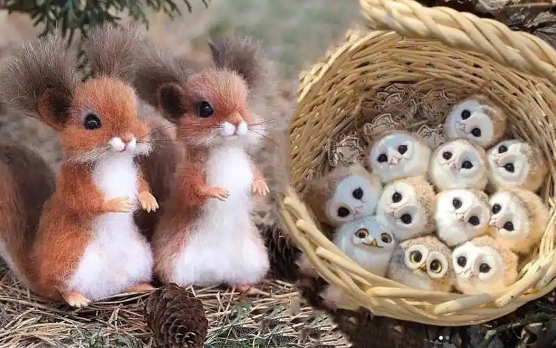 可爱的动物宝宝,萌萌动物的可爱瞬间! 2023年最可爱的动物 第16合辑