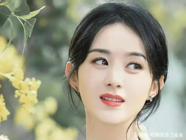 赵丽颖的颜值分析