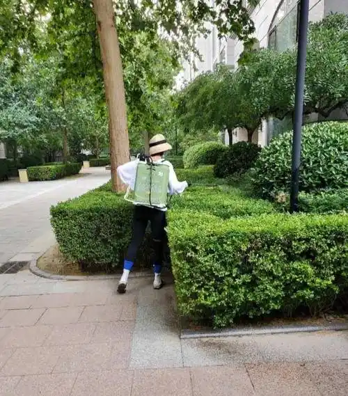 张歆艺出门造型太别致,背一桶驱蚊水只为孩子,意外暴露背后纹身_时候