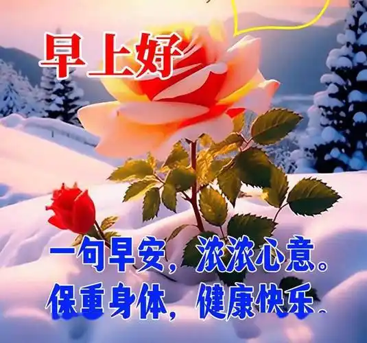 今日最新早上好表情图片大全,美在心情,乐在生活_祝福_朋友_问候