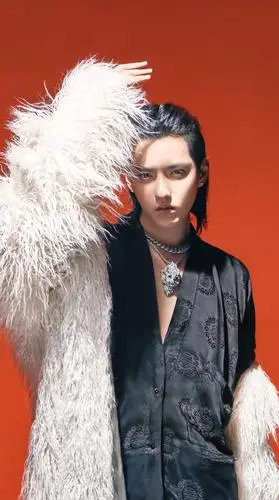 吴亦凡这个演唱会海报长发造型真的很飒