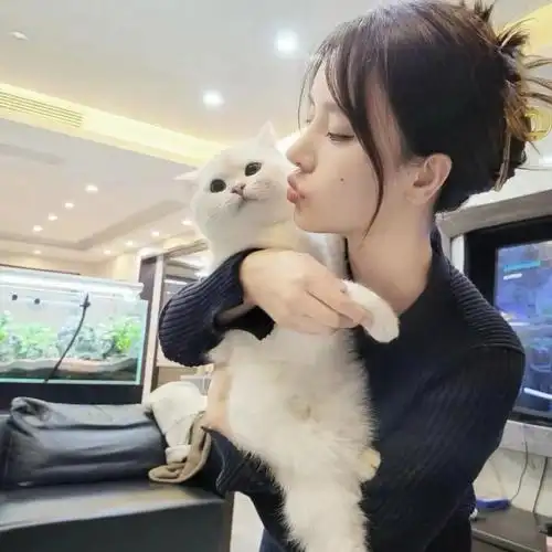 情头之对象不是人系列