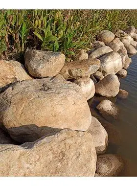 园林景观石 景石置石巨大型河卵石鹅卵石 绿地河滩湿地护坡驳岸石
