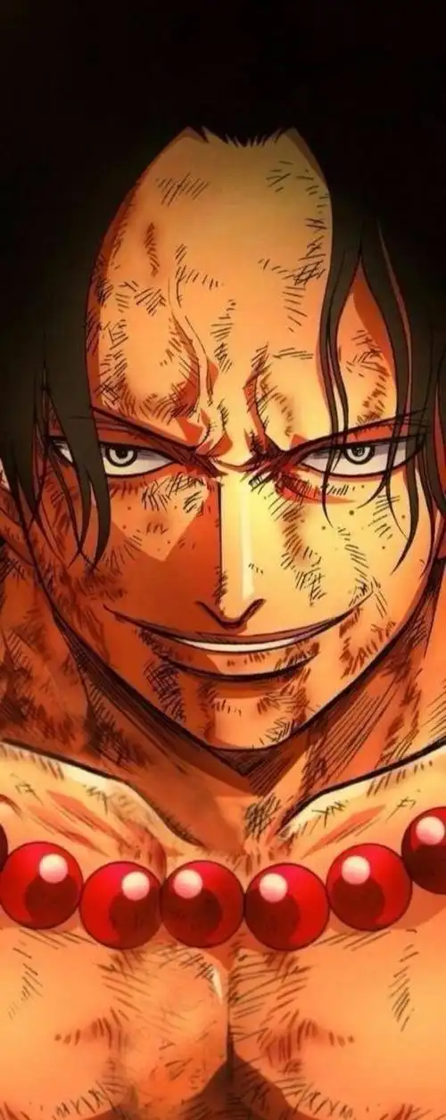 海贼王艾斯酷图十张,艾斯,听说你要复活了!