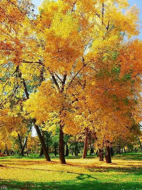 100张世界顶级美景