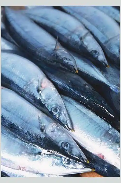 剑鱼特写海鲜美食图片