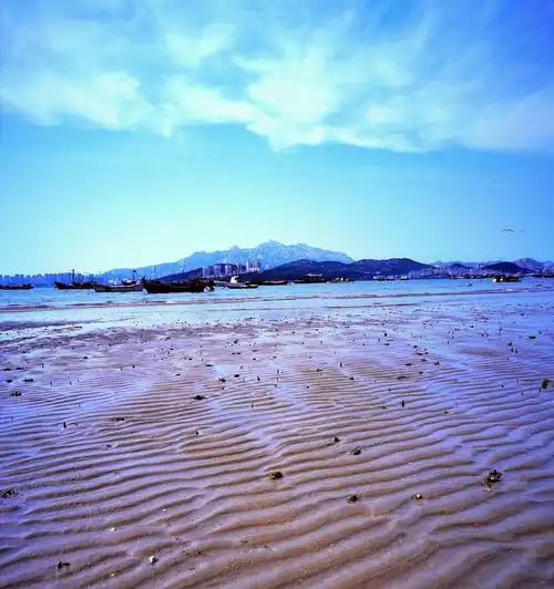 2020年秋于青岛,山,海,河流,水库-,湿地,海滩,鱼港,海岸风光