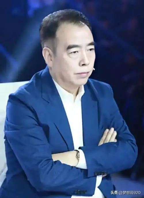 陈凯歌陈凯歌个人资料陈凯歌图片最新动态(陈凯歌 图片) - 盾灵网