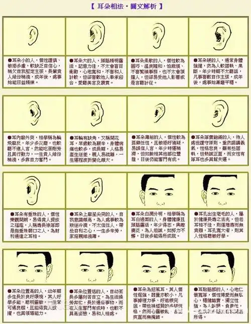 面相耳朵图解最详细版