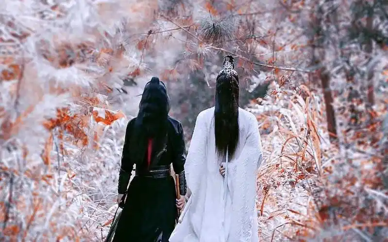 【博君一肖】【剧版忘羡】【陈情令】纸上尘埃-肖战王一博