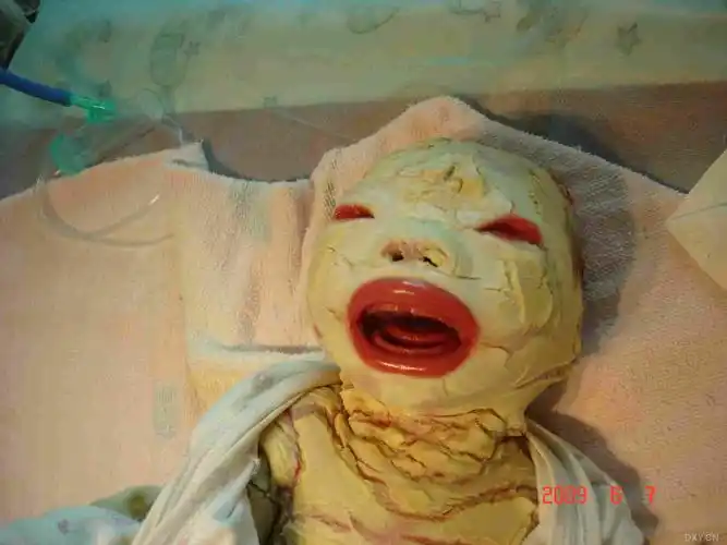 有料回复 柠檬树1982 2009-06-17 23:41 老杏老师你真了不起,这个就是