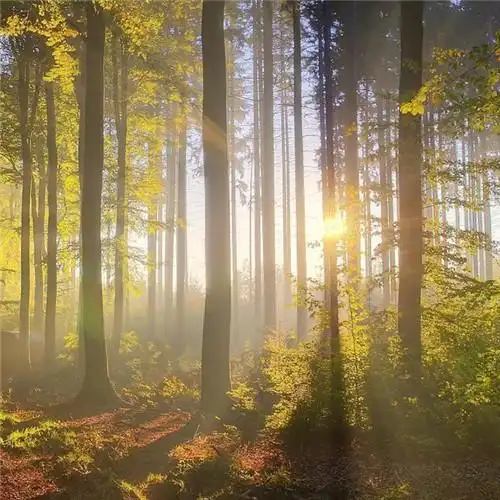 适合一辈子风景头像图片