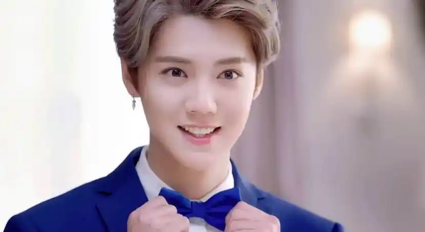 的妈妈是谁,外界并不得知,网传鹿晗爸爸叫徐计耀,鹿晗妈妈叫翁文凤,但