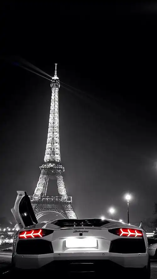 xs113d内部透明元件玫瑰花丛中的猪黑白吸烟的男子静心文字等手机壁纸