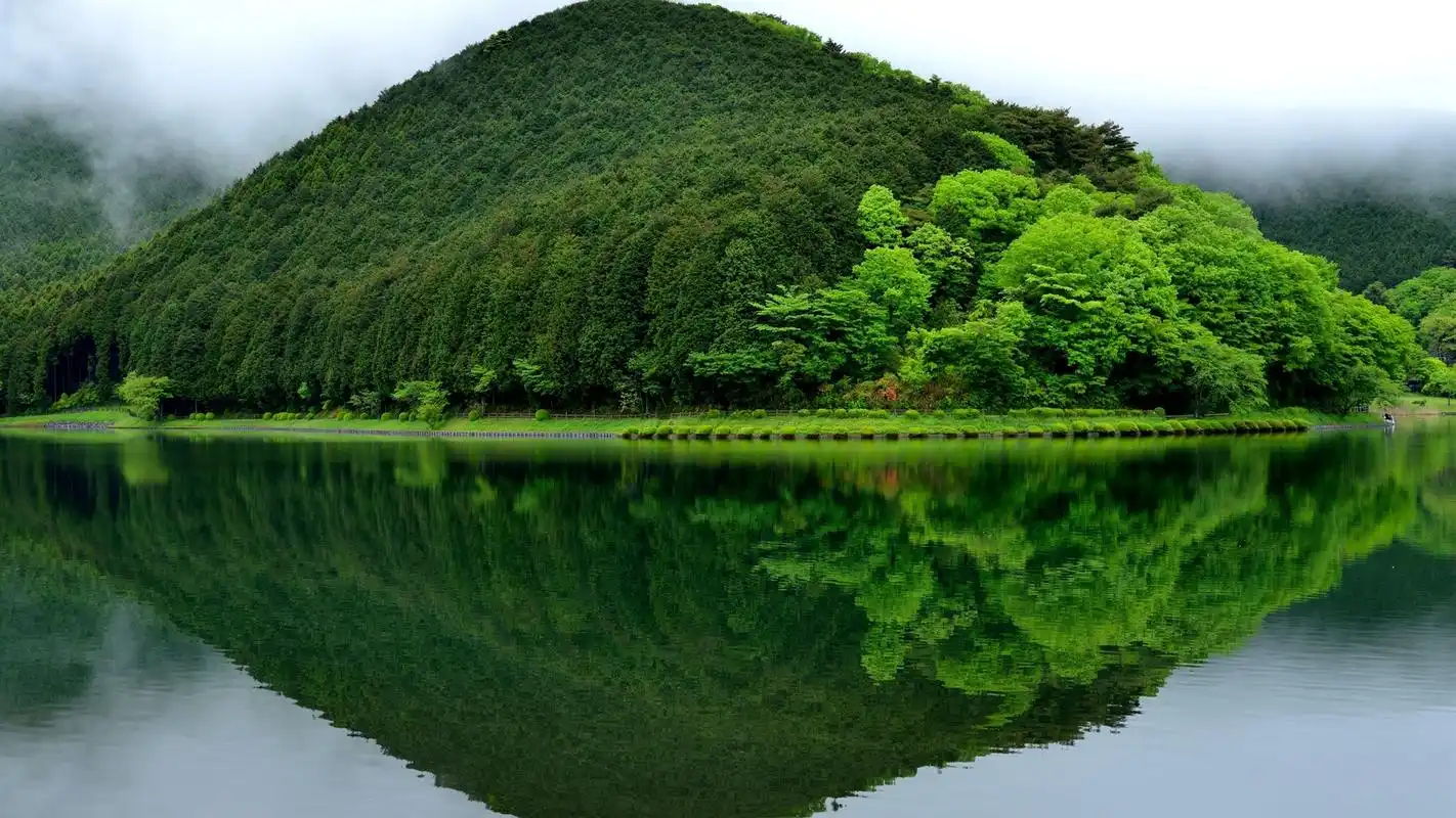 绿色的大自然风景图片桌面壁纸