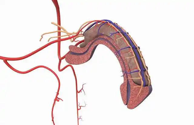 阴茎起搏器可让重度阳痿病人重获满意性生活
