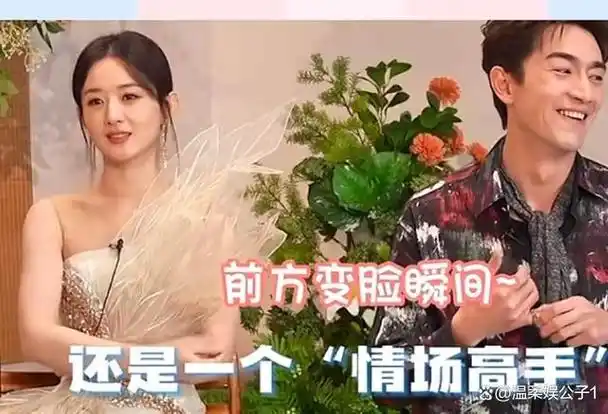 赵丽颖点评林更新句句戳中心窝赵又廷当年的话全说对了