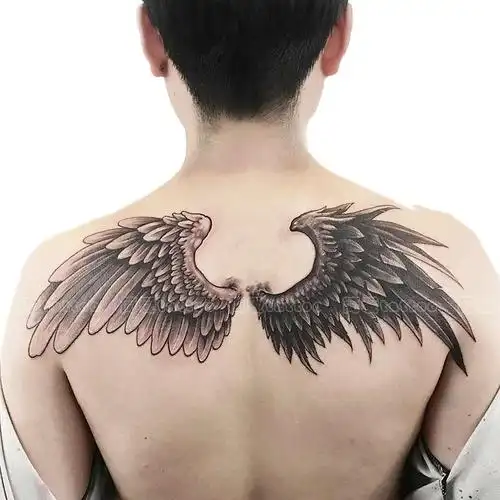翅膀纹身图案背男女天使恶魔之翼防水持久羽毛仿真刺青黑白满背