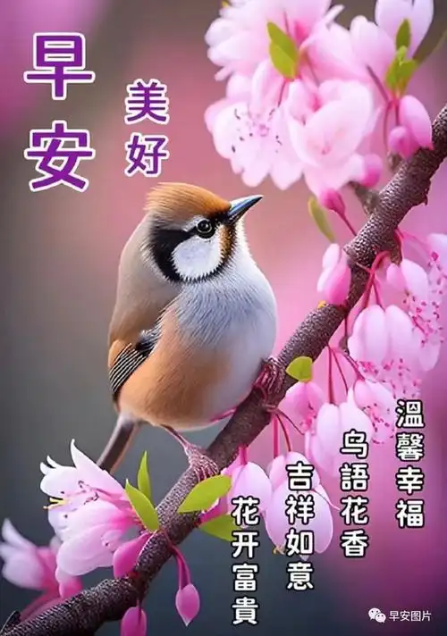 早上好动态表情图片大全早安动图美图大全
