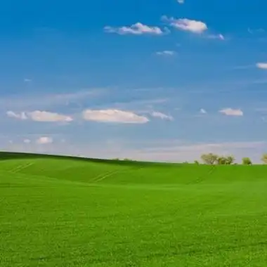 浅绿色青草地风景大自然风景草地图片风景头像美头